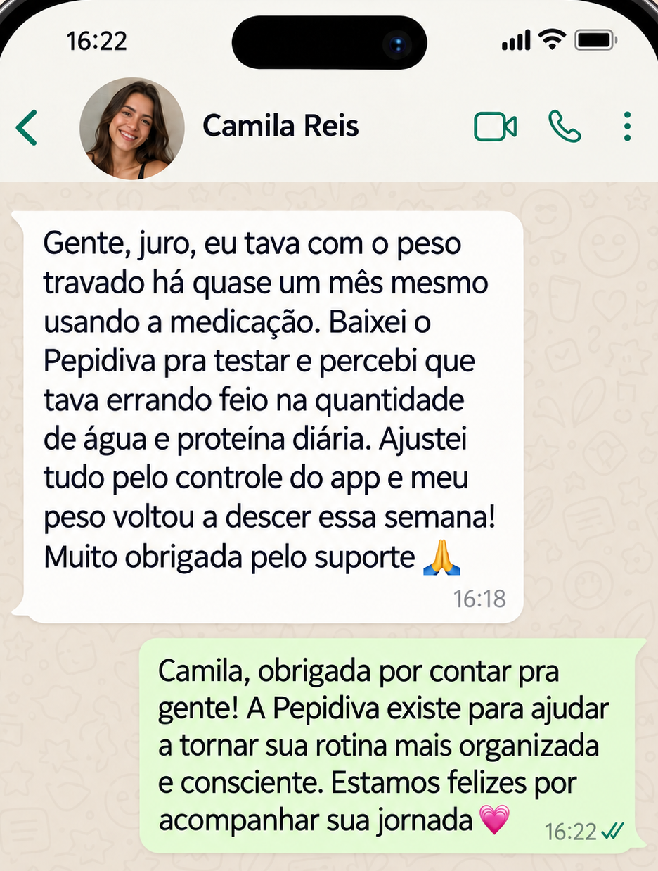 Exemplo ilustrativo 1 — conversa simulada sobre a rotina com a Pepidiva