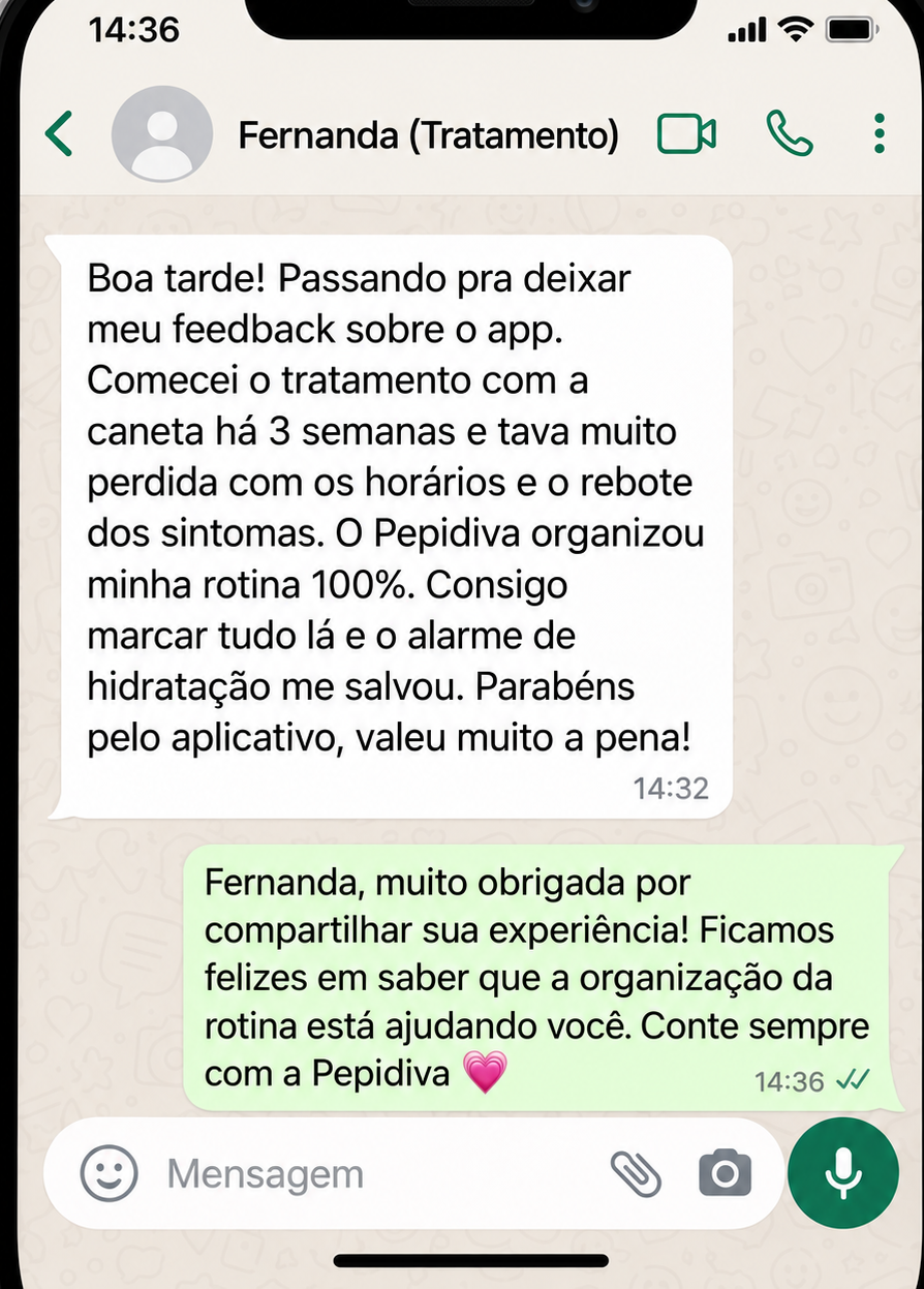 Exemplo ilustrativo 3 — conversa simulada sobre a rotina com a Pepidiva